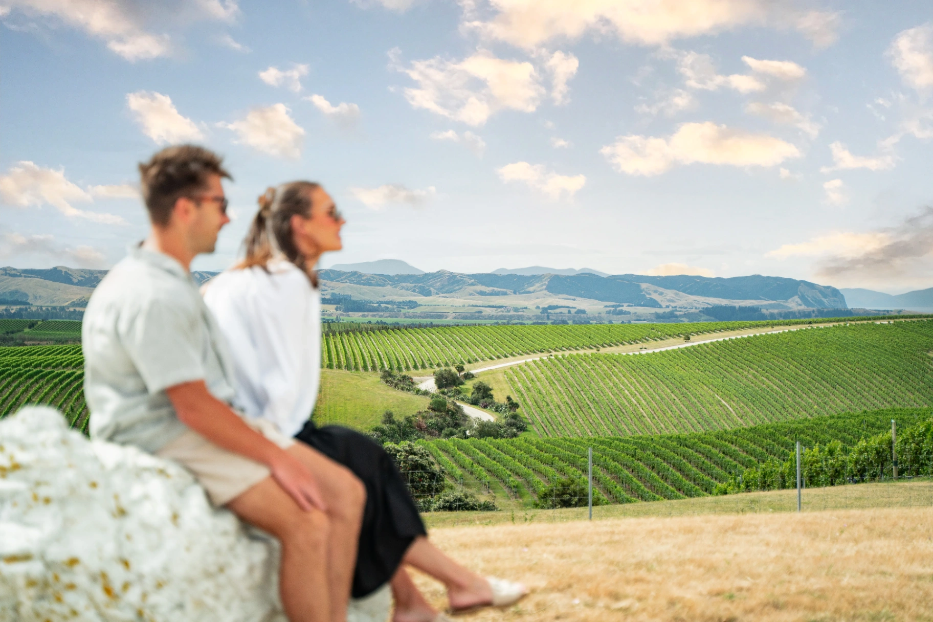 Marlborough vineyard landscape